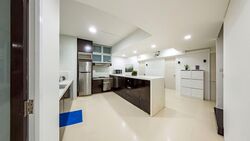 Willyn Ville (D10), Apartment #573992311